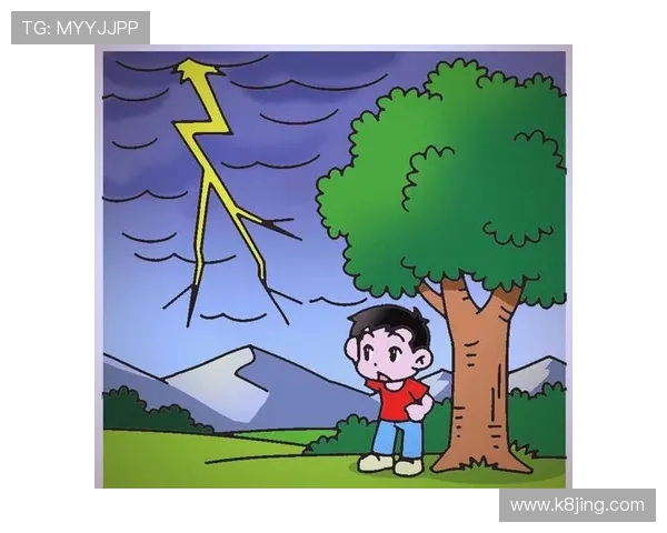 闪电 21 点：探索闪电在自然界中的能量释放与影响力